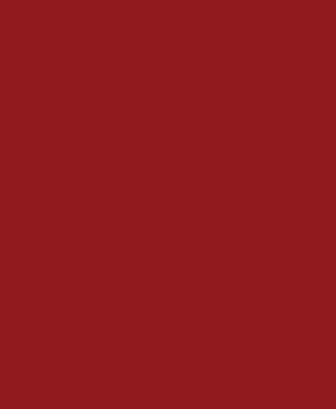 big red rectangle